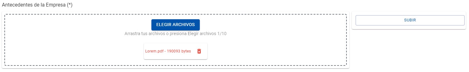 Ilustración 5 - Carga de Documentos
